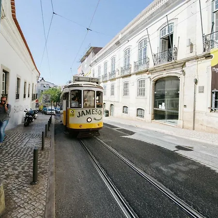 Lobos Lisbon